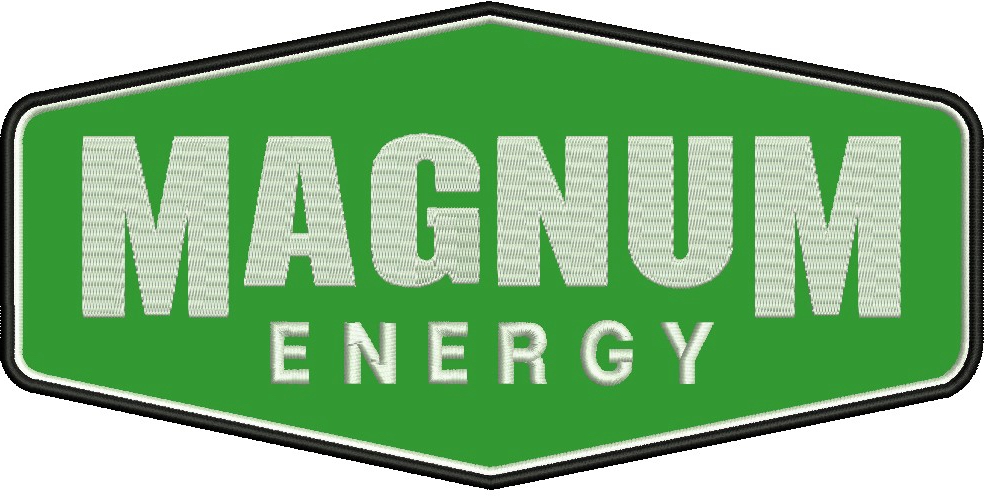 Бензин А-95 (Євро 5), АЗС МАГНУМ ЕНЕРДЖІ, талон